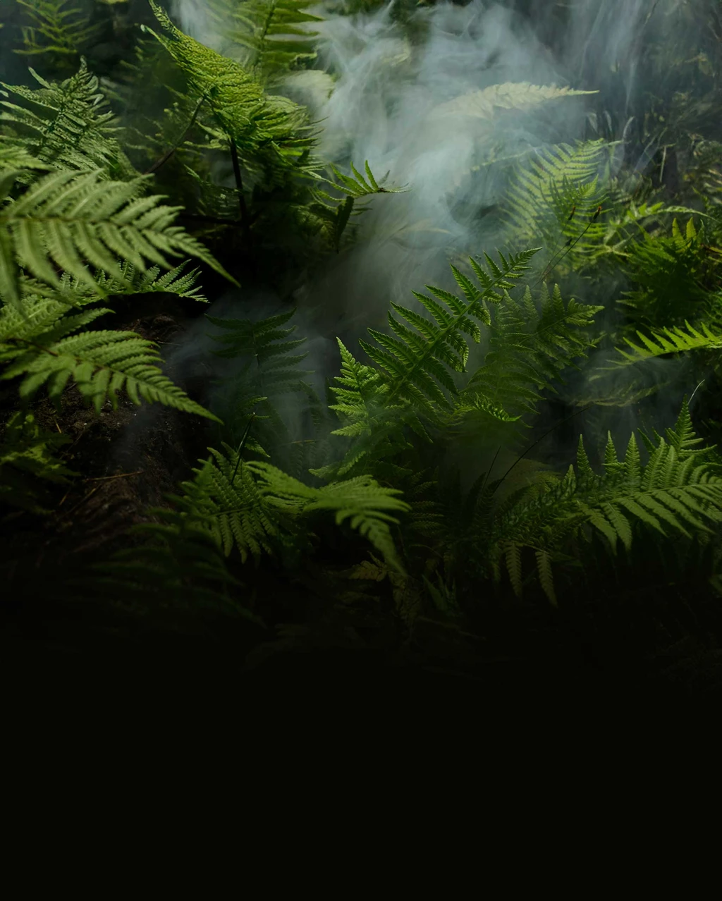 countries-component.types.1.title